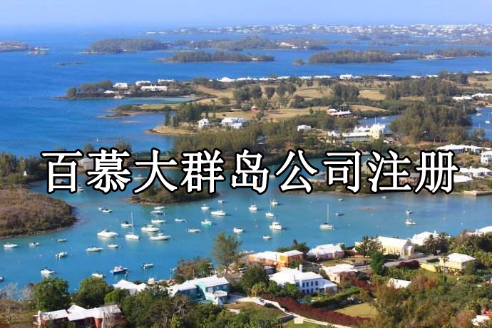 雙軸撕碎機(jī)